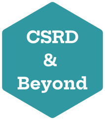 CSRD & Beyond-1