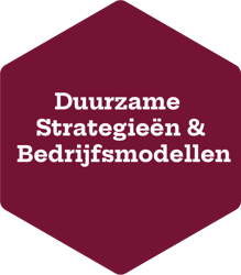 Duurzame Strategieen Bedrijfsmodellen